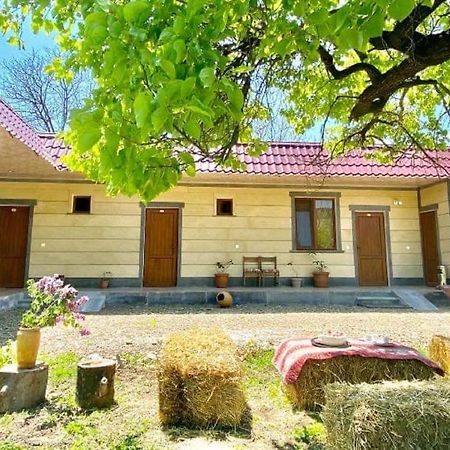 Aghasu Tun B&B Odzun Esterno foto